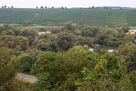 Alter Main bei Volkach