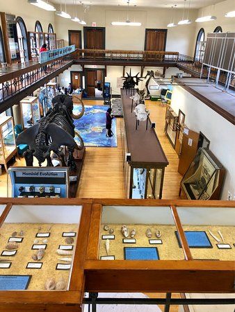 Rutgers Geology Museum