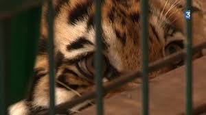 Espace Zoologique Saint-Martin la Plaine