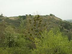 Rezerwat przyrody Góry Pieprzowe