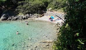 Redagara Beach For Dogs