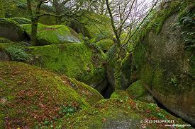 Forêt de Huelgoat