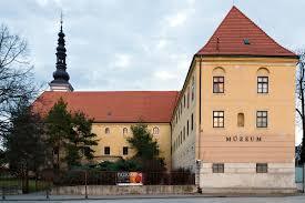 Museu Západoslovenské