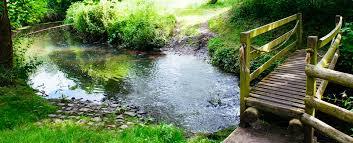 Pendeford Nature Reserve