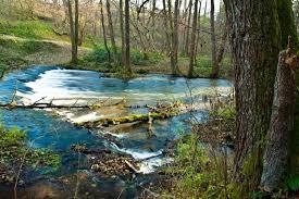 Rezerwat przyrody Nad Tanwią