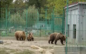 Zoo Pitesti