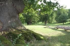 Moccas Park National Nature Reserve