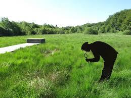 Réserve naturelle régionale des tourbières du Morvan