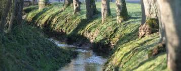 Parc Naturel Régional de l'Avesnois