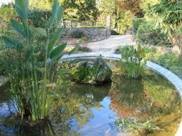 Jardin des Plantes