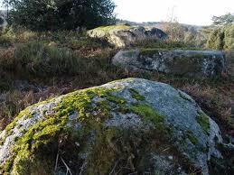 Natural Reserve of the Bog of Dauges