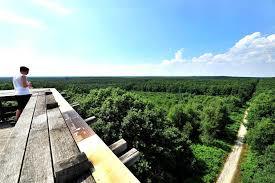 Belvedere des Caillettes