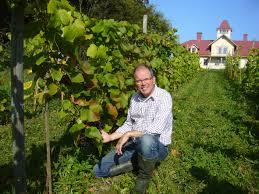 Vingården Stora Boråkra