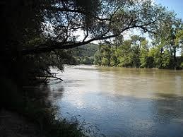 Mures Floodplain Natural Park
