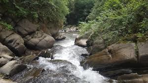 Waterfall in shekels