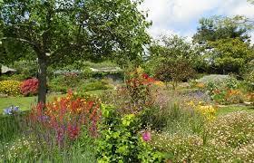 Eden du Voyageur Garden