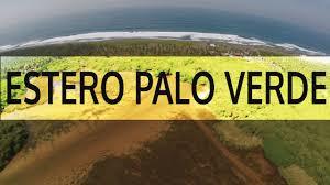 Estero Palo Verde