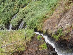 Nacientes de Marcos y Cordero