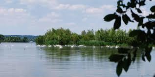 Reserve ornithologique de la Grande Noe