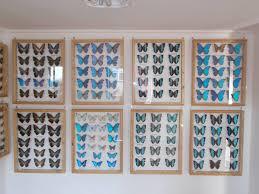 Lepkekiallitas es Asvanykiallitas