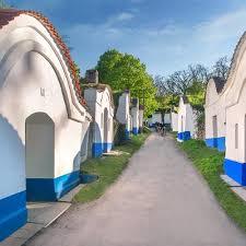 Weinkeller in Petrov-Plže