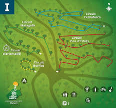Bosc Vertical Mataro