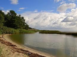 Park Krajobrazowy Mierzeja Wiślana