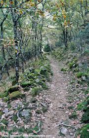 Puente del Puerto de Candeleda