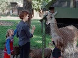 Natur und Tierpark Bruggen