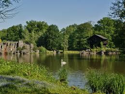 Biotopwildpark Anholter Schweiz