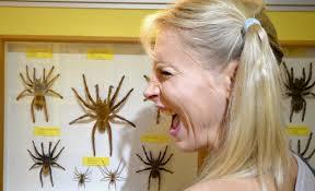 Insektenmuseum und Schmetterlingsfarm Steinhude