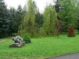 Arboretum de Hrádok