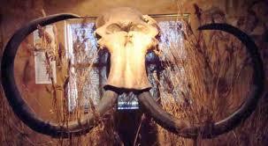 Celtic and Prehistoric Museum