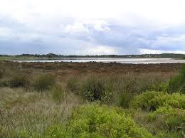 St Leonards Salt Lagoon