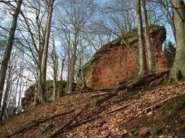 Chateau de Wittschloessel