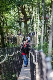 Baumkronenpfad Hoherodskopf