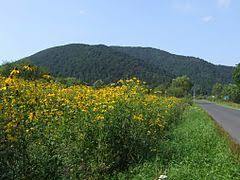 Magura Stuposiańska