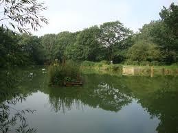 Brotherton Park and Dibbinsdale Local Nature Reserve