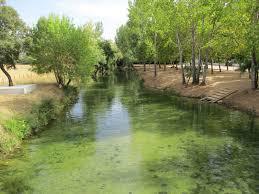 Rio Alviela