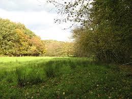 Naturschutzgebiet Naafbachtal
