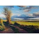 Braunton Great Field