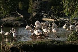 Canada de los Pajaros