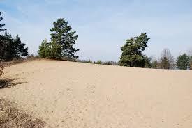 Sand dunes u Vlkova