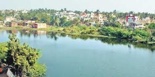 Velachery Lake