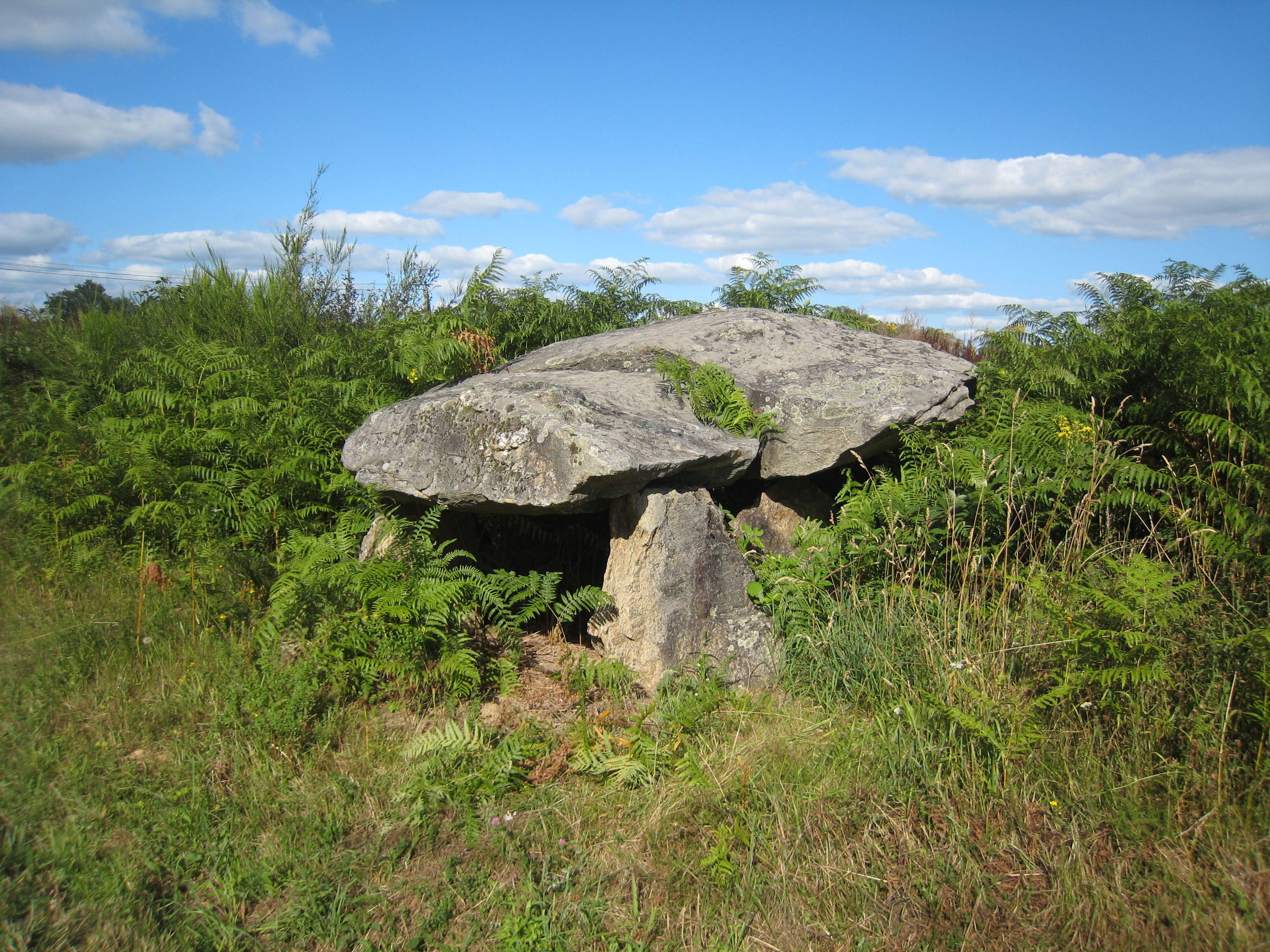 dolmen de La Croix-du-Breuil