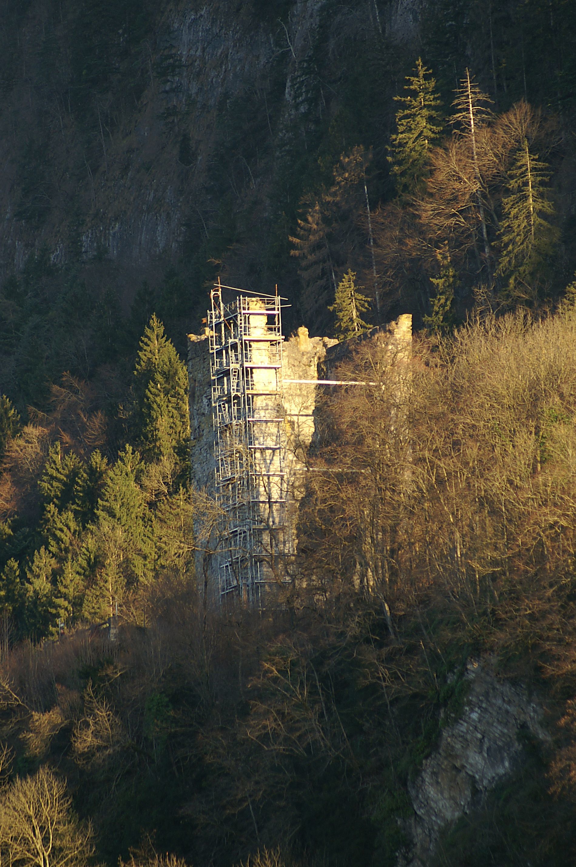 Burgruine Neu-Montfort