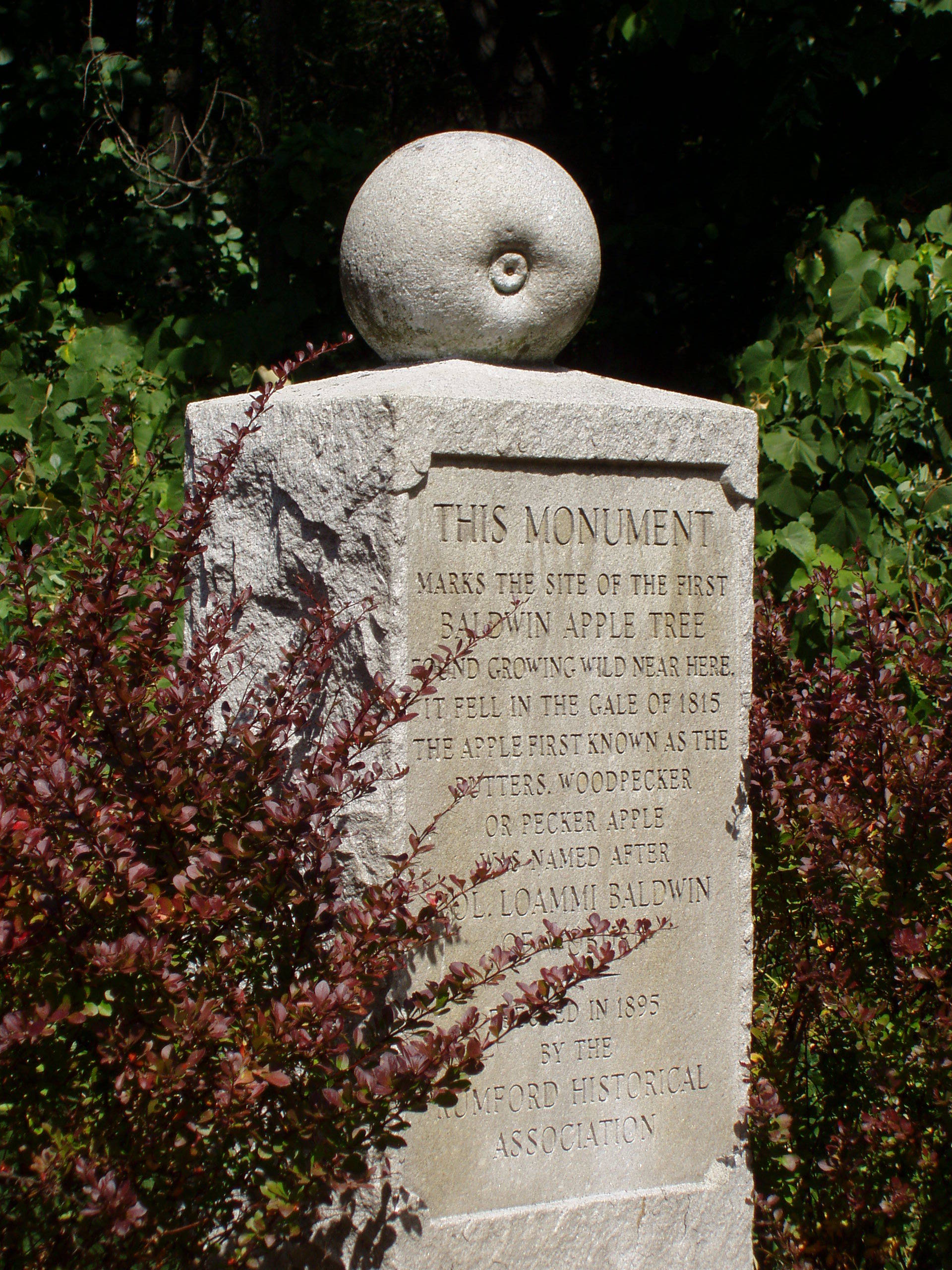 Baldwin Apple Monument