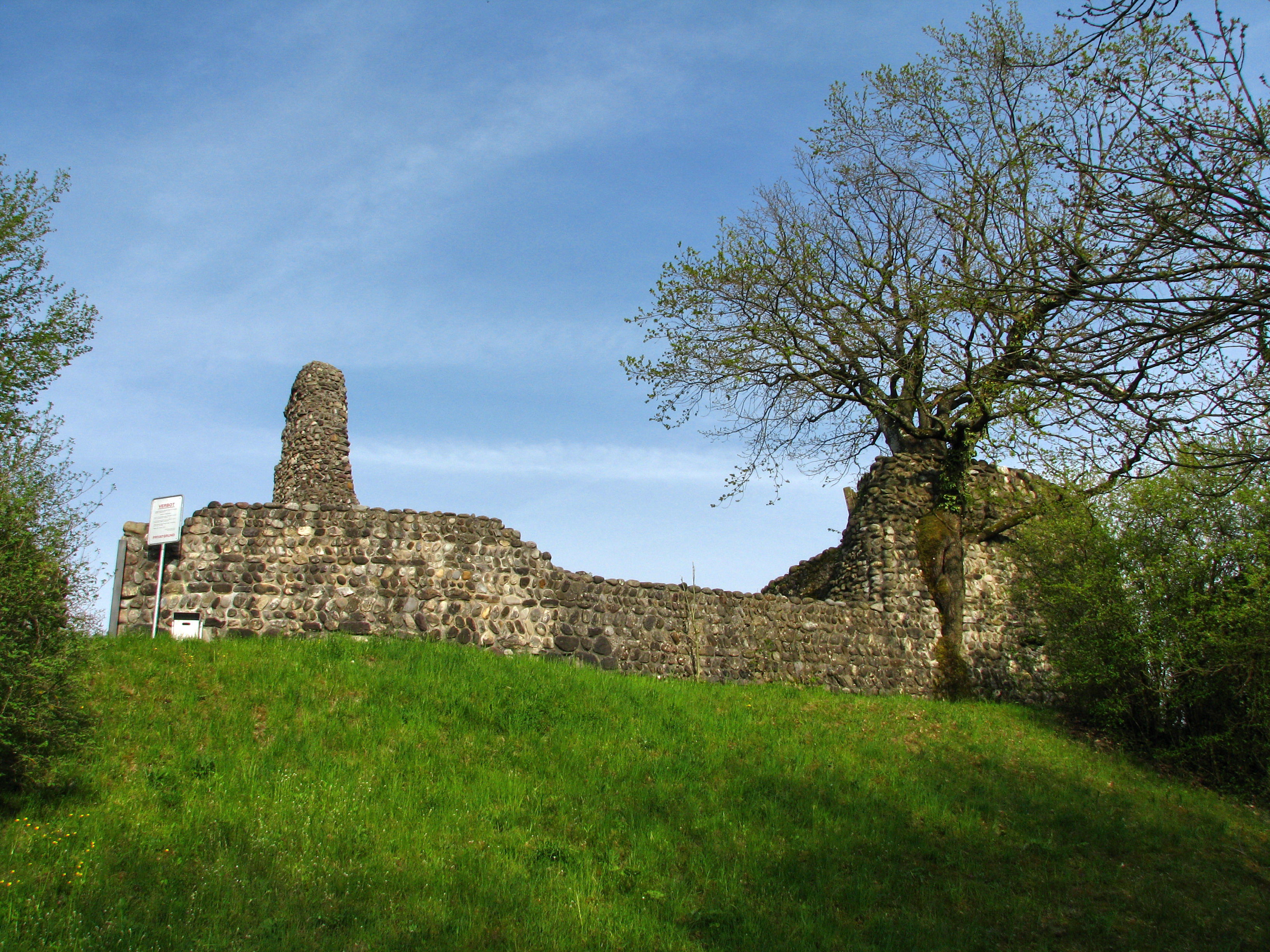 Ruine Alt-Regensberg