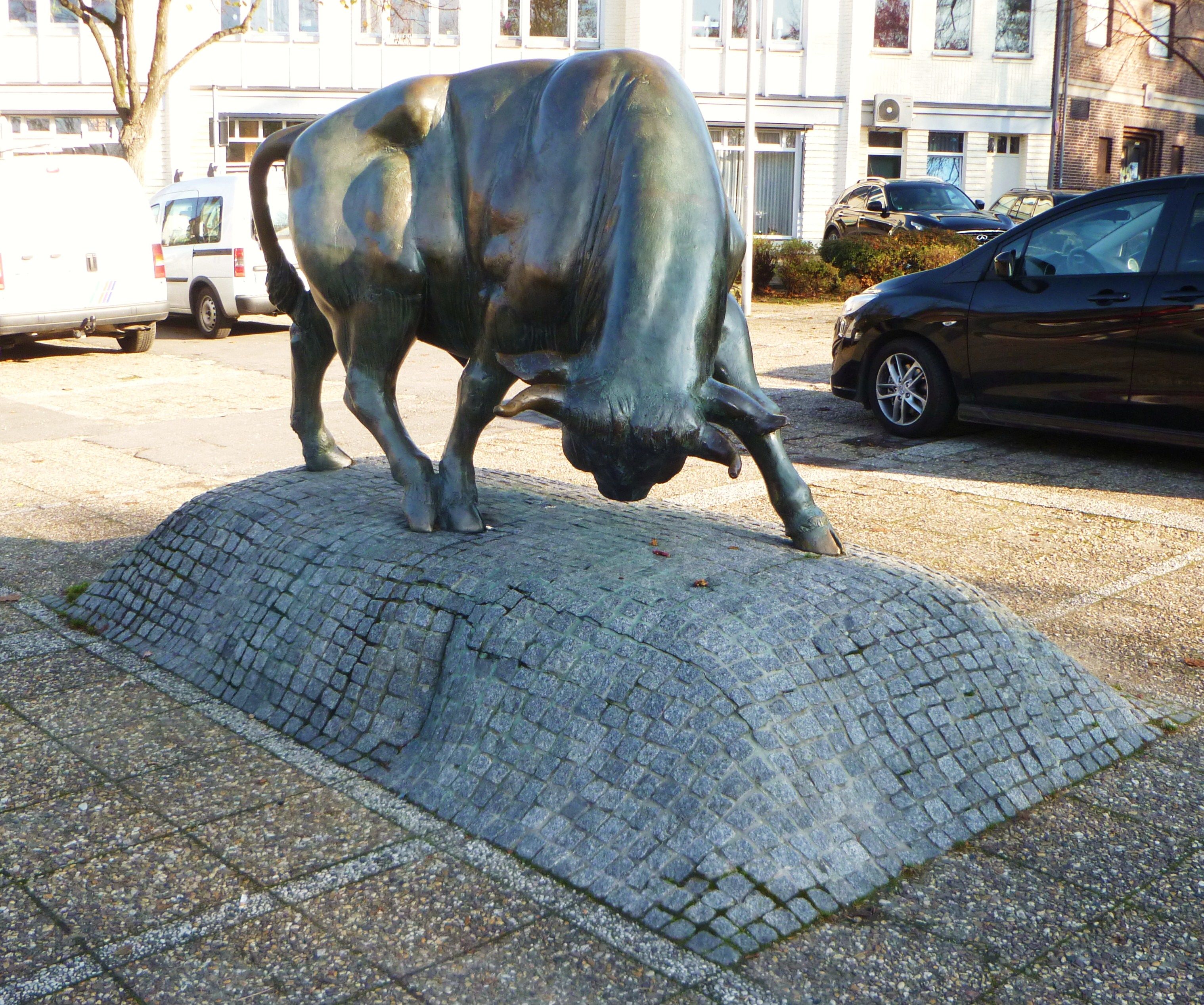 Brander Stier