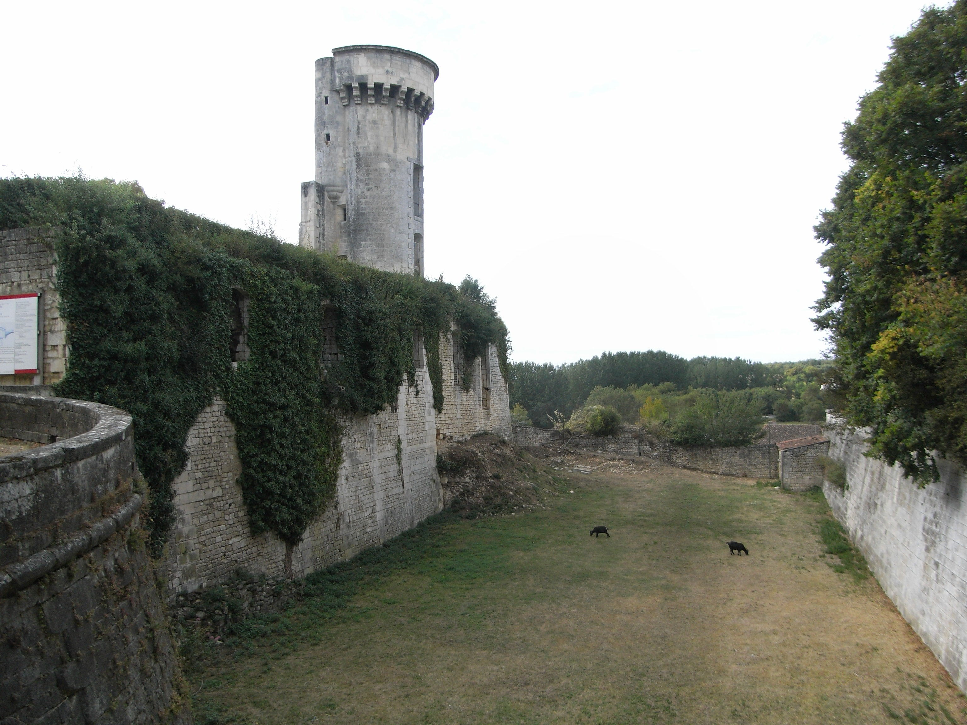 Chateau de Taillebourg